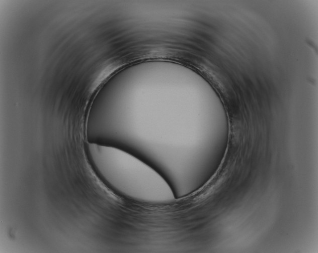 X0000092030794200709061350