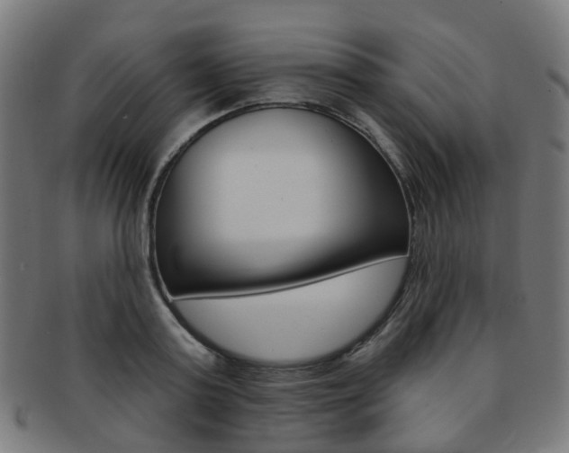 X0000092030795200709061350