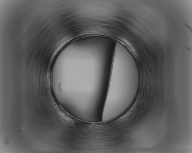 X0000092030796200709061350