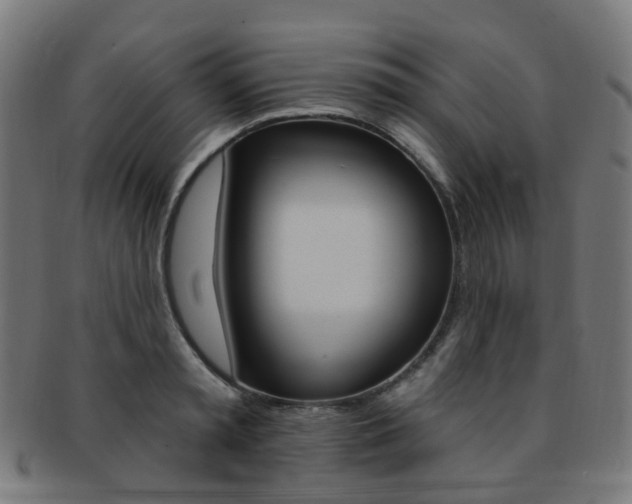 X0000092030797200709061350
