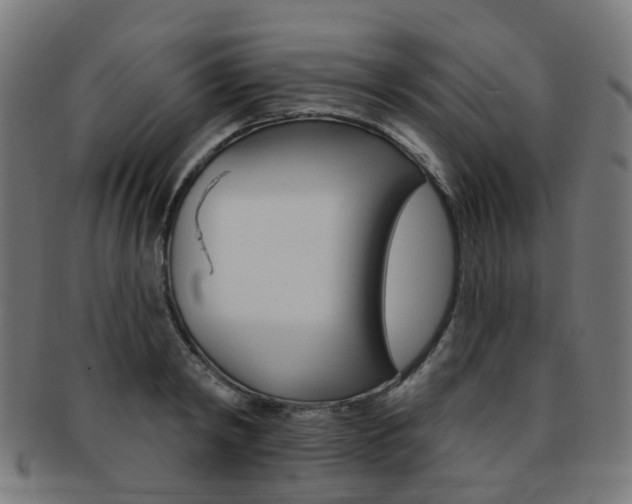 X0000092030798200709061350