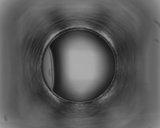 X0000092030799200709061350