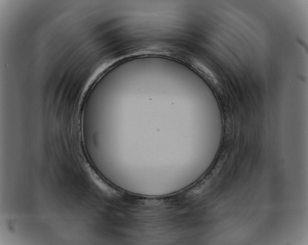 X0000092030800200709061350