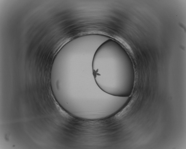 X0000092030801200709061350