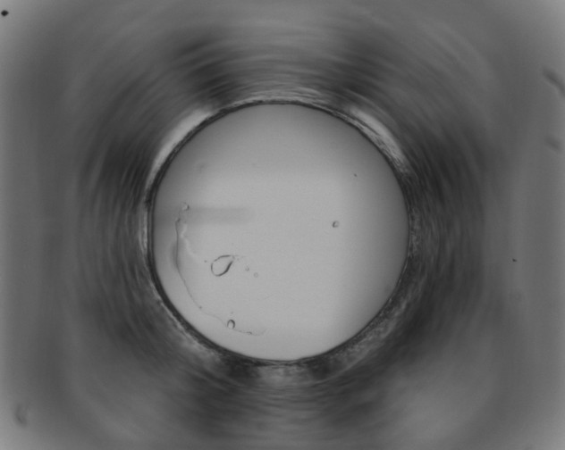 X0000092030804200709061350