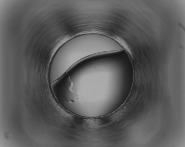X0000092030805200709061350