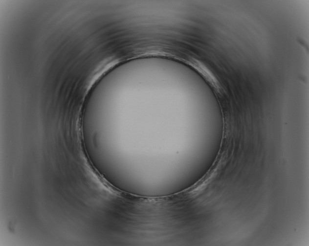 X0000092030806200709061349
