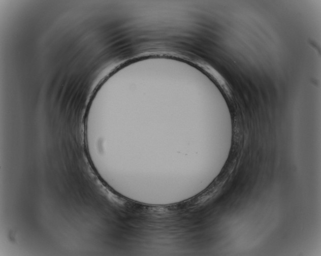 X0000092030807200709061349