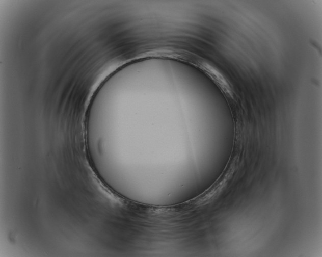 X0000092030808200709061349