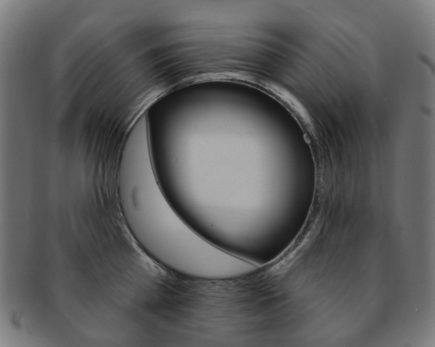 X0000092030809200709061349