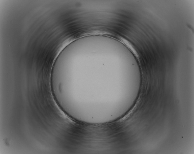 X0000092030810200709061349