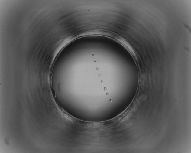 X0000092030813200709061349