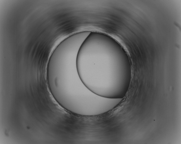 X0000092030815200709061349