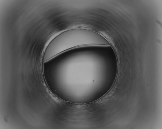 X0000092030816200709061349
