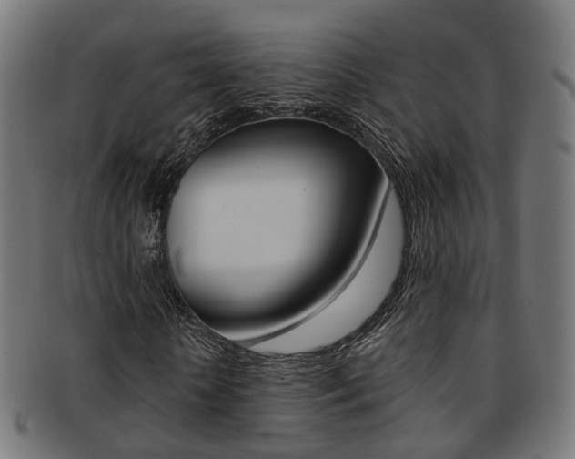 X0000092030818200709061349