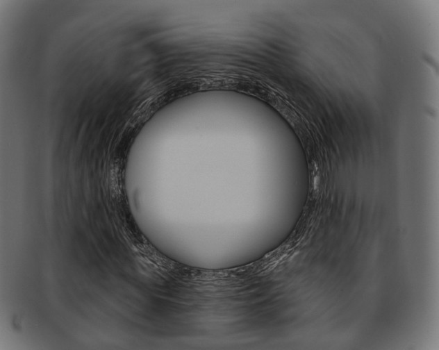 X0000092030819200709061349