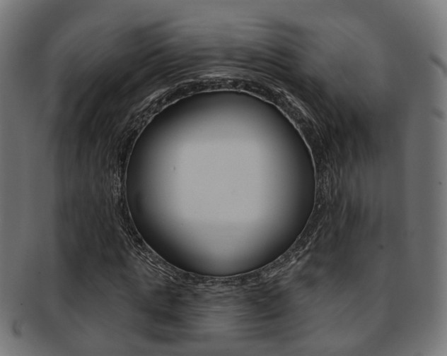 X0000092030821200709061349