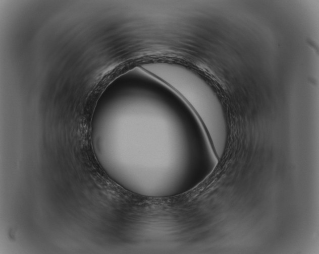 X0000092030822200709061349