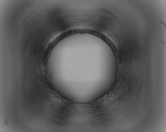 X0000092030823200709061349