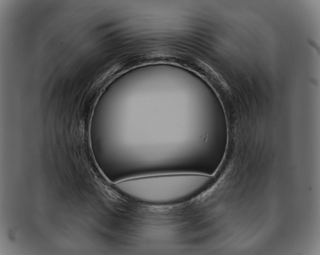 X0000092030825200709061349