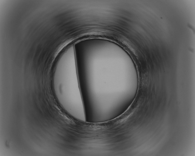 X0000092030829200709061349