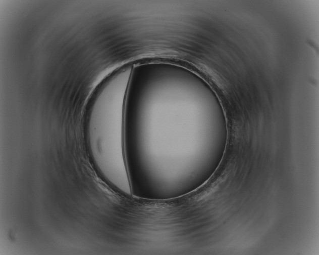 X0000092030830200709061349