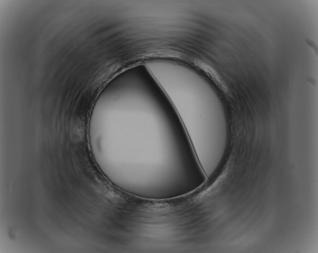 X0000092030833200709061349
