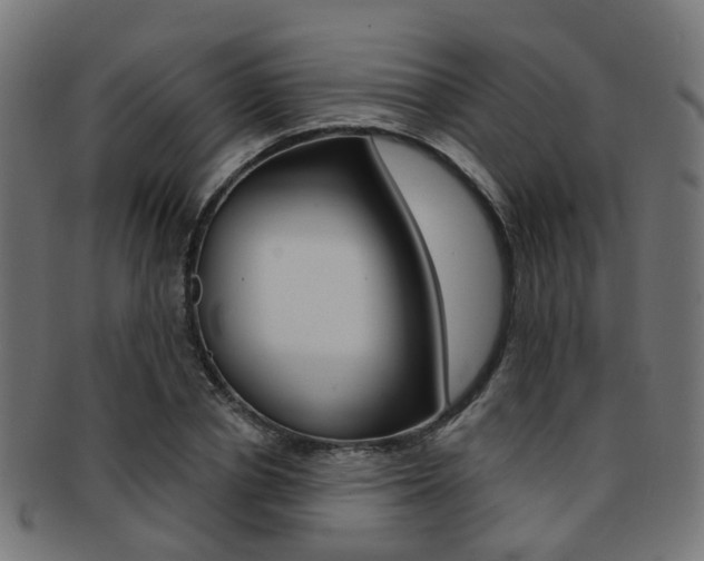 X0000092030834200709061349