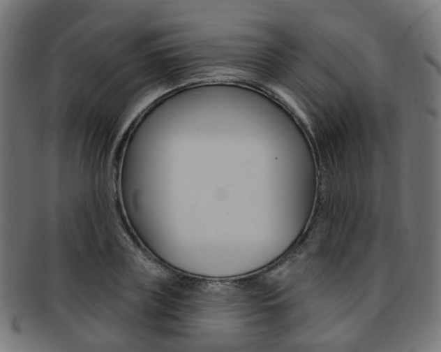 X0000092030835200709061349