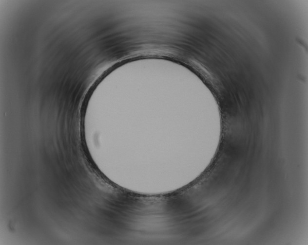 X0000092030836200709061349