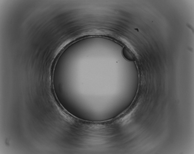 X0000092030837200709061349