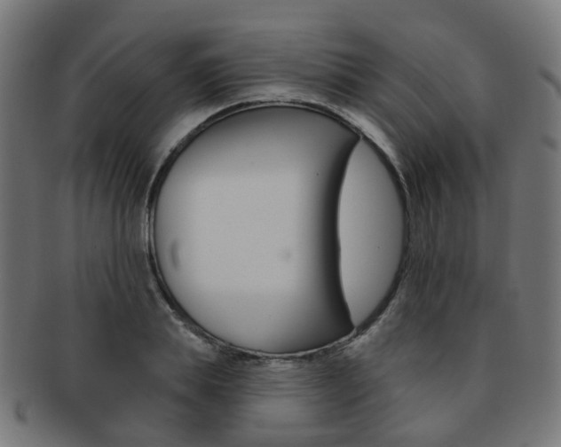 X0000092030839200709061349