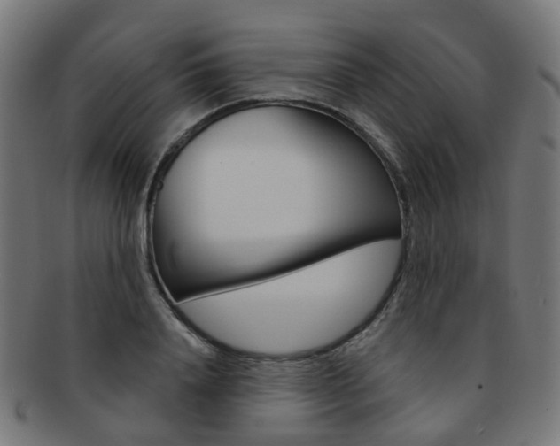 X0000092030840200709061349