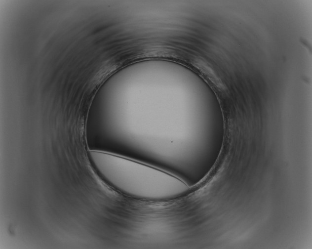 X0000092030841200709061349