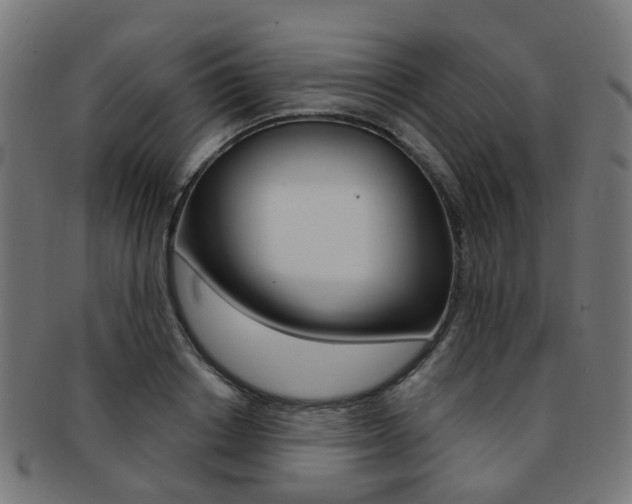 X0000092030842200709061349
