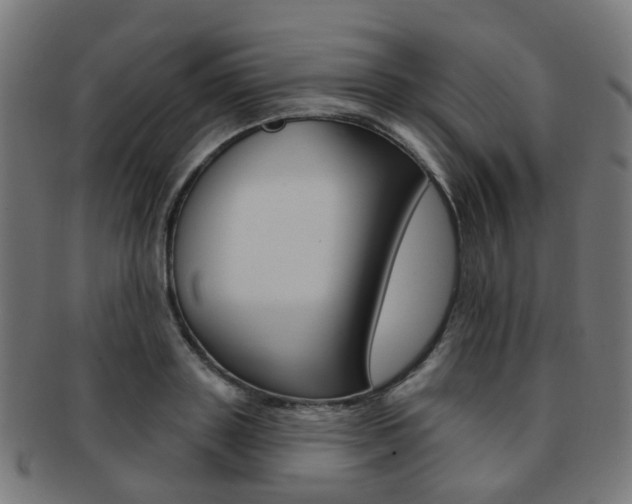 X0000092030843200709061349