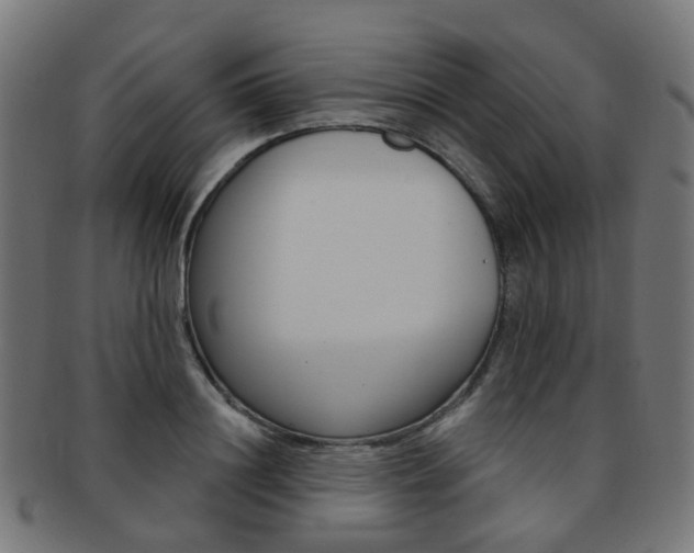 X0000092030844200709061349