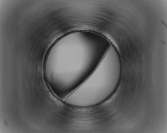 X0000092030845200709061349