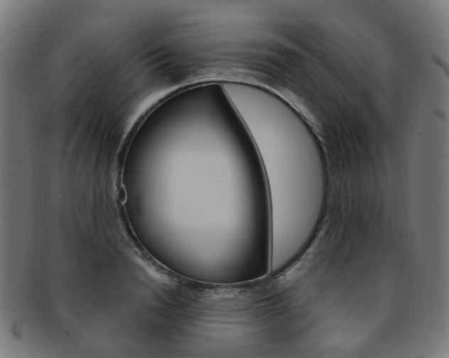 X0000092030846200709061349