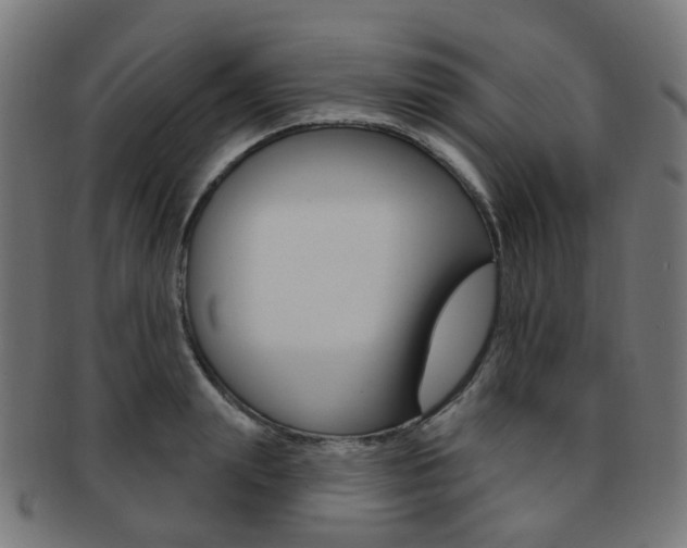 X0000092030847200709061349