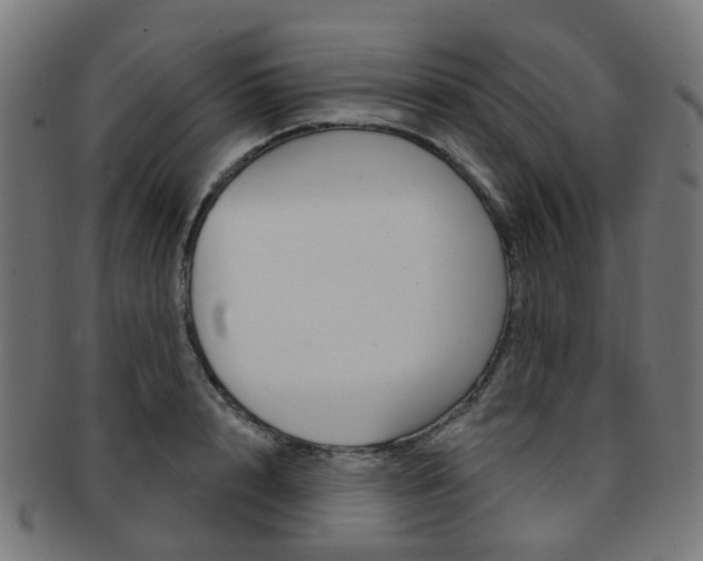 X0000092030848200709061349