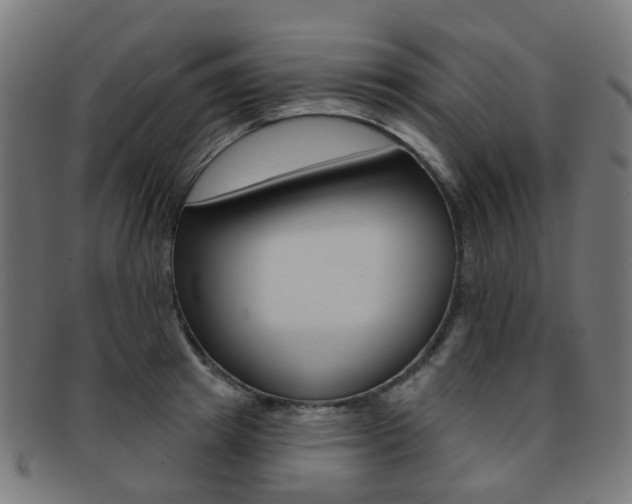 X0000092030849200709061349
