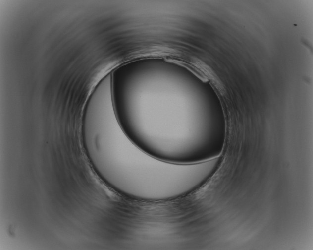 X0000092030850200709061349