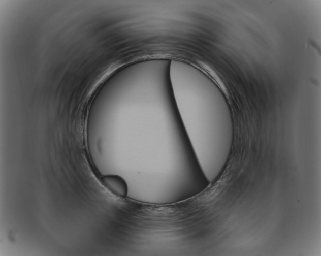 X0000092030851200709061349