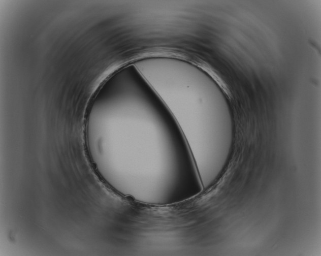 X0000092030853200709061349