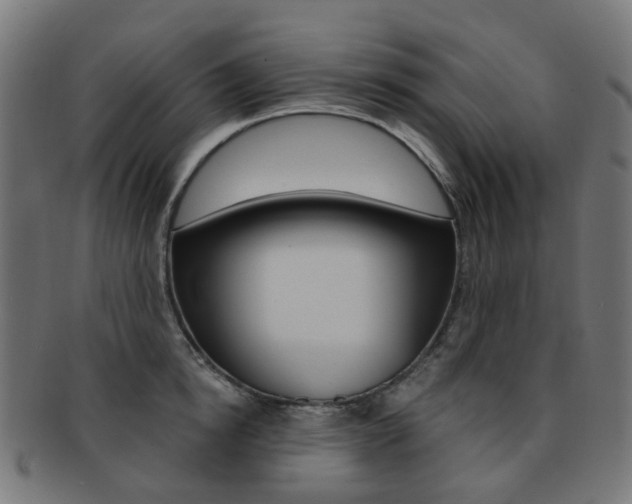 X0000092030854200709061349