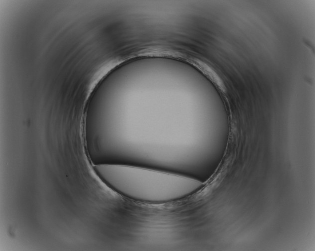 X0000092030855200709061349