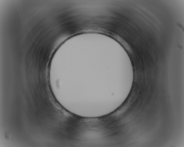 X0000092030856200709061349