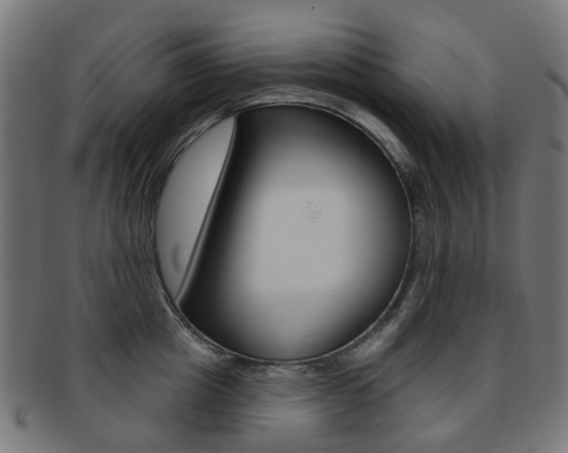 X0000092030857200709061349