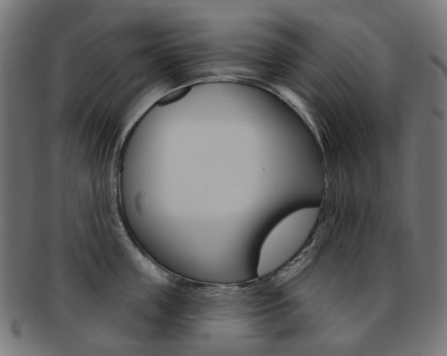 X0000092030859200709061349